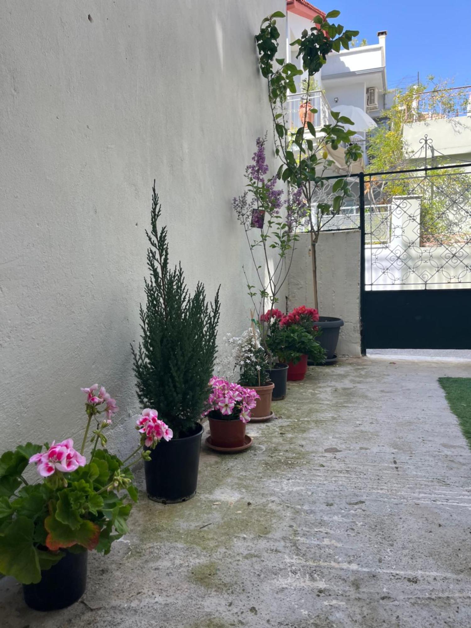 Noa - Designed Garden Studio In The City Center 卡拉马塔 外观 照片